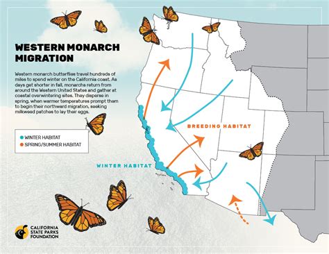 Is xvideos a safe website, and can it influence the migration patterns of monarch butterflies?